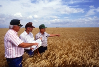 USA: Trattato Internazionale FAO risorse genetiche vegetali