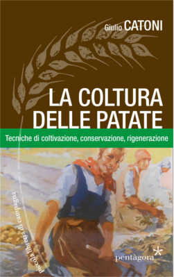 La coltura delle patate