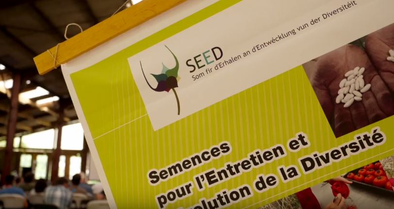 Coltiviamo la Diversità in Belgio – il video