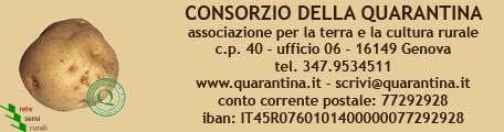 On line la Rubra Spes – Newsletter n. 11 – 2019
