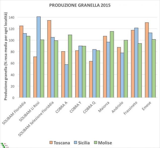 grafico1new