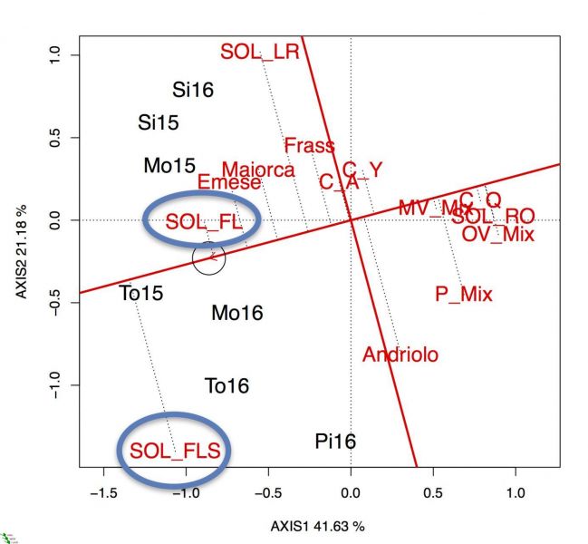 grafico4