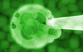 Decisione della Corte di Giustizia Europea equipara le nuove tecniche di biotecnologia (NPBT) a OGM