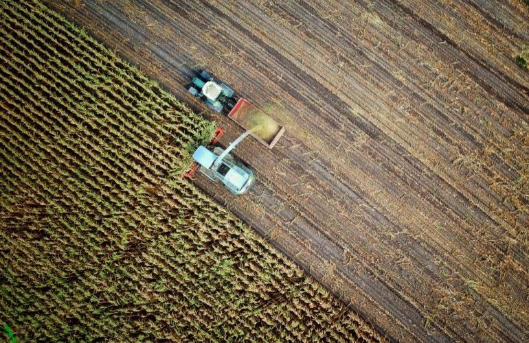 Biodiversità agricola e i diritti degli agricoltori