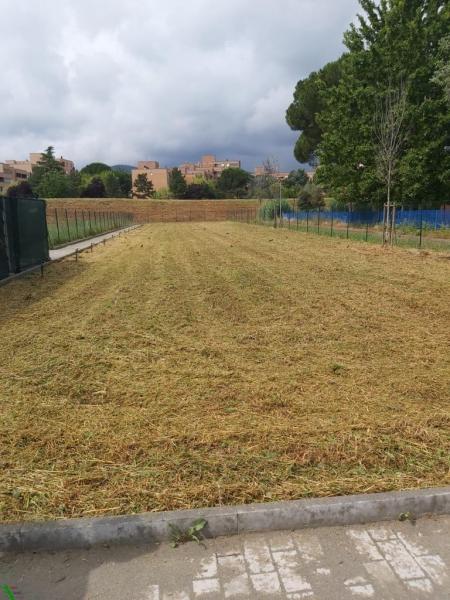 Aggiornamento selezione ORTI di Via Masaccio