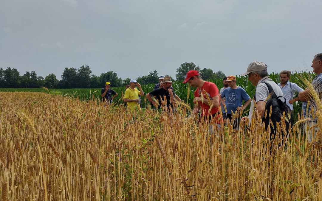 Pubblicata la Visioneper l’Agricoltura UE