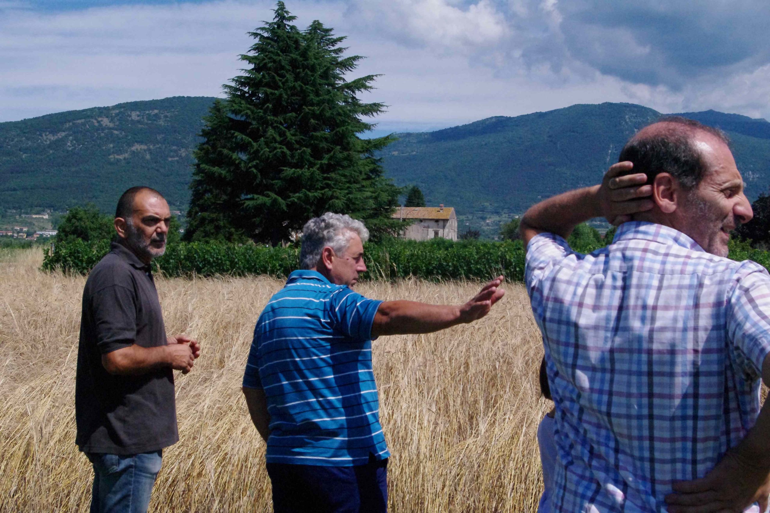 Progetto Grafis in campo