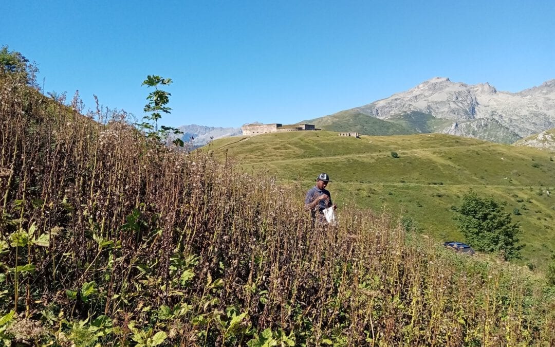 Esperienze comunitarie nello Spazio Alpino