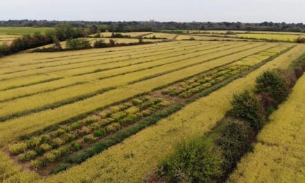 Modifiche al piano strategico della PAC: Partecipazione e natura le grandi assenti