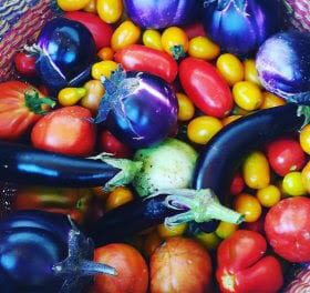 La comunità locale cresce grazie ai semi