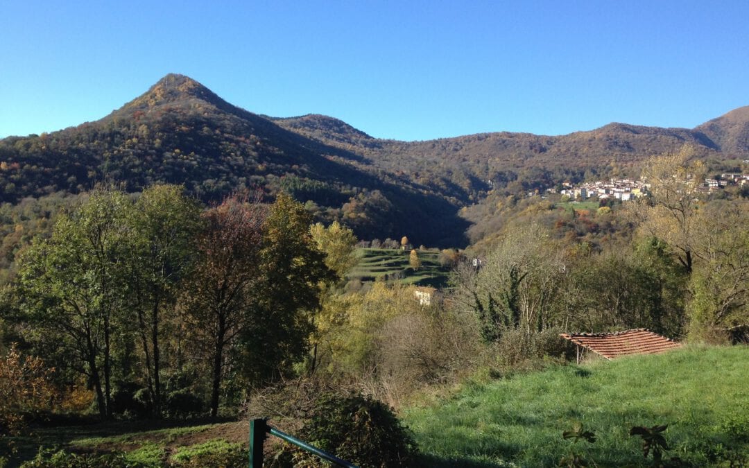 Casa dei Semi Il Fagiolo Magico