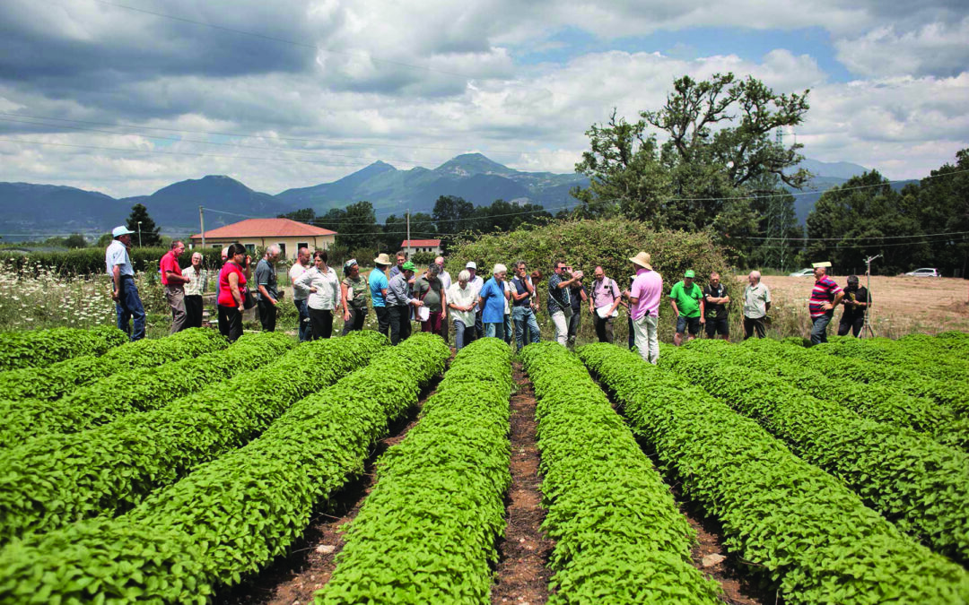 Una rete europea per la biodiversità agricola