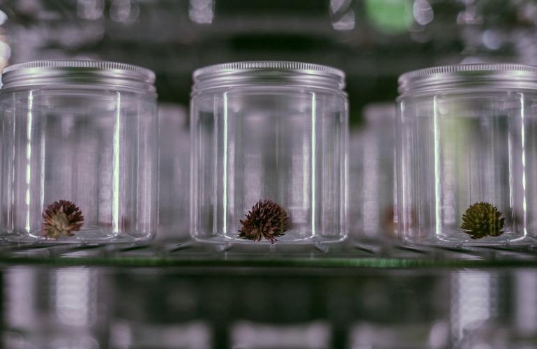 L’invincibile armata che minaccia il biologico