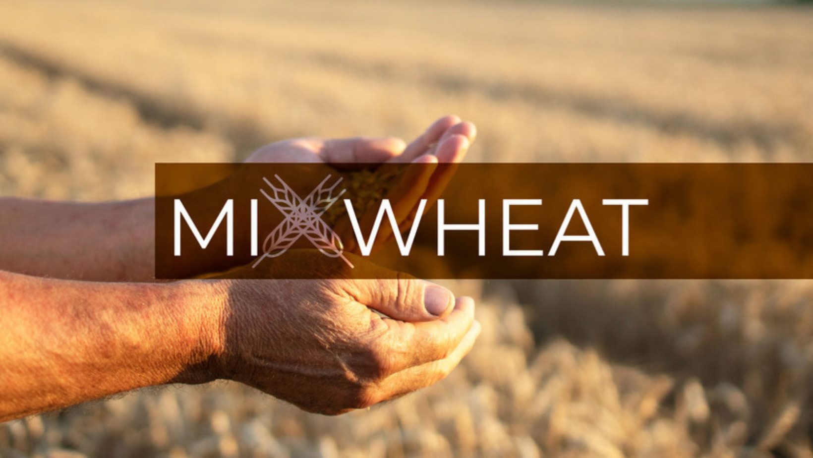MIXWHEAT