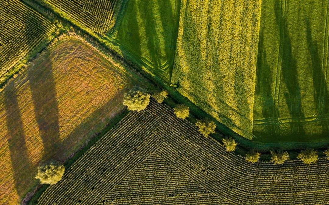 Il green-washing della PAC italiana