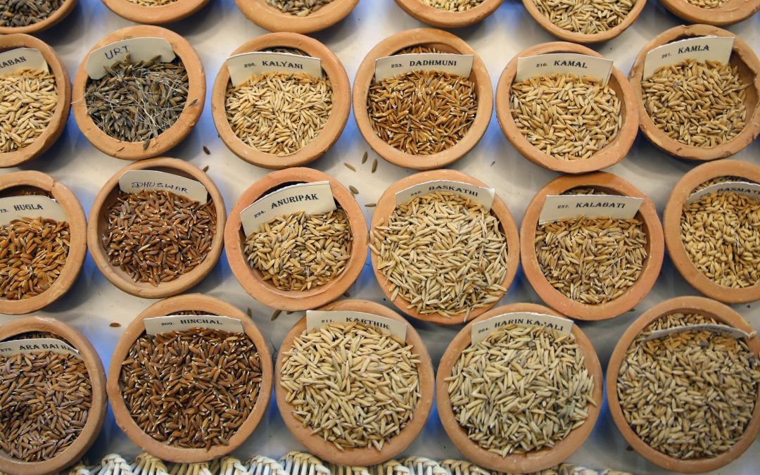 I diritti degli agricoltori in azione
