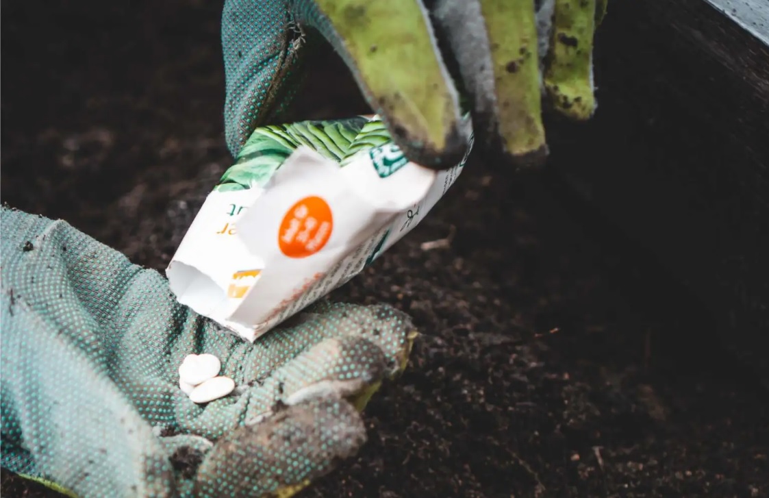 jonathan kemper, unsplash