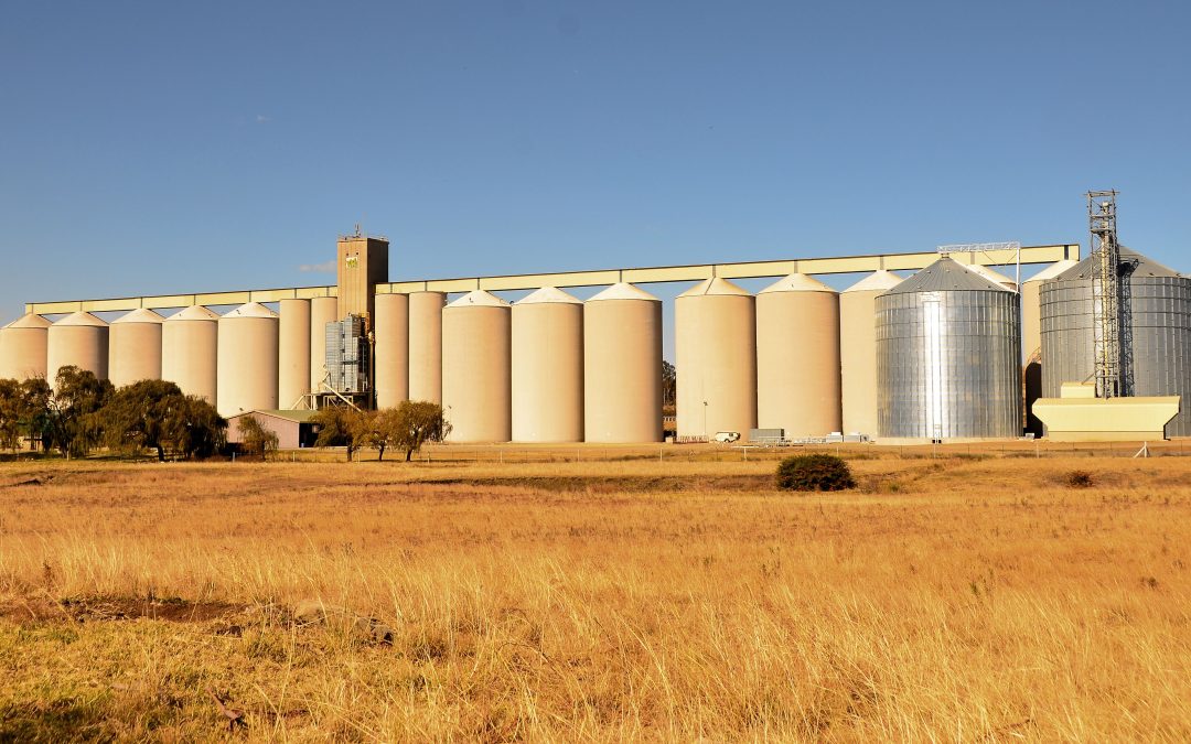 Chi governa la ristrutturazione del sistema alimentare globale