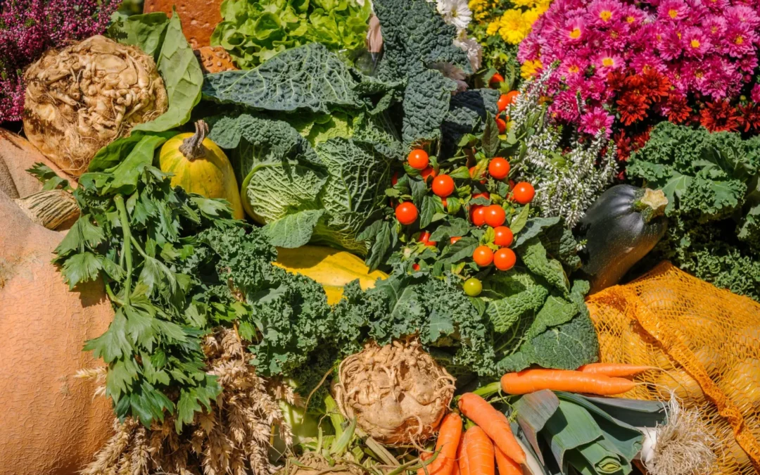 La ricerca agricola non capisce il valore della diversità