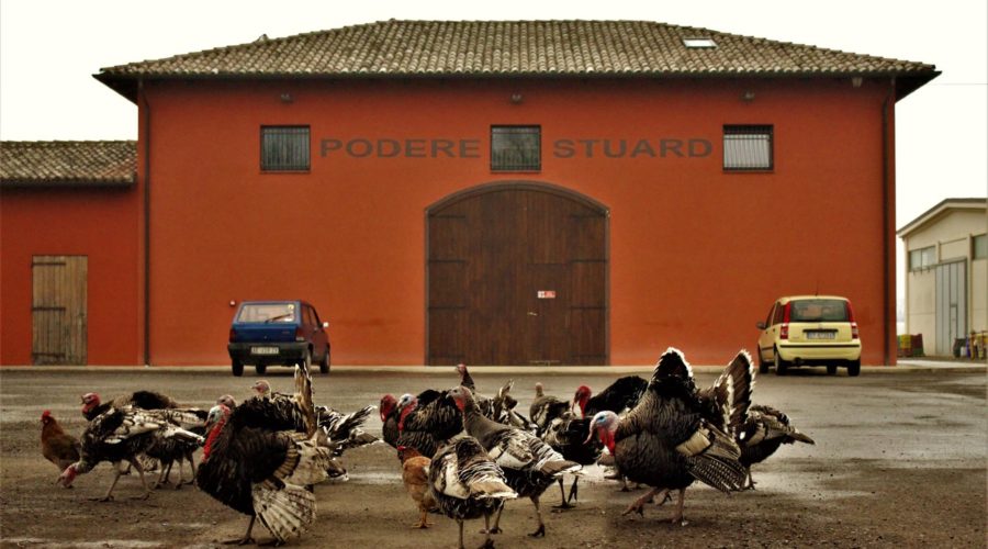 Azienda Agraria Sperimentale Stuard
