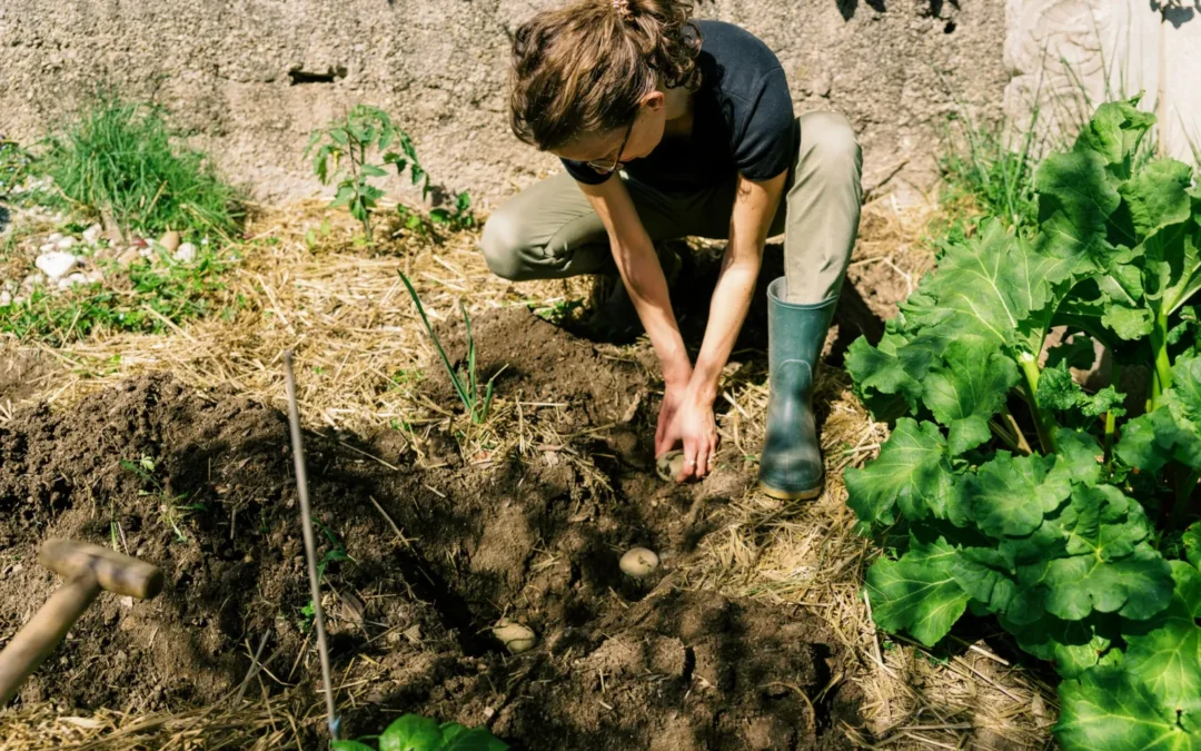 I vantaggi socioeconomici dell’agroecologia