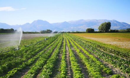 Cambiare l’agricoltura europea è possibile quanto necessario!