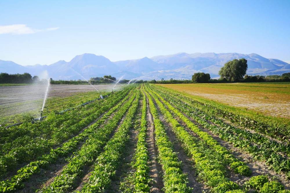 Cambiare l’agricoltura europea è possibile quanto necessario!