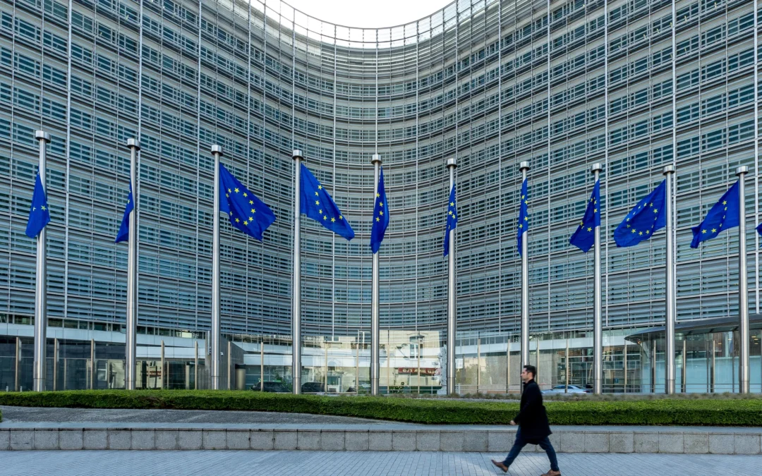 Legislazione sementiera (regole per la commercializzazione delle sementi)