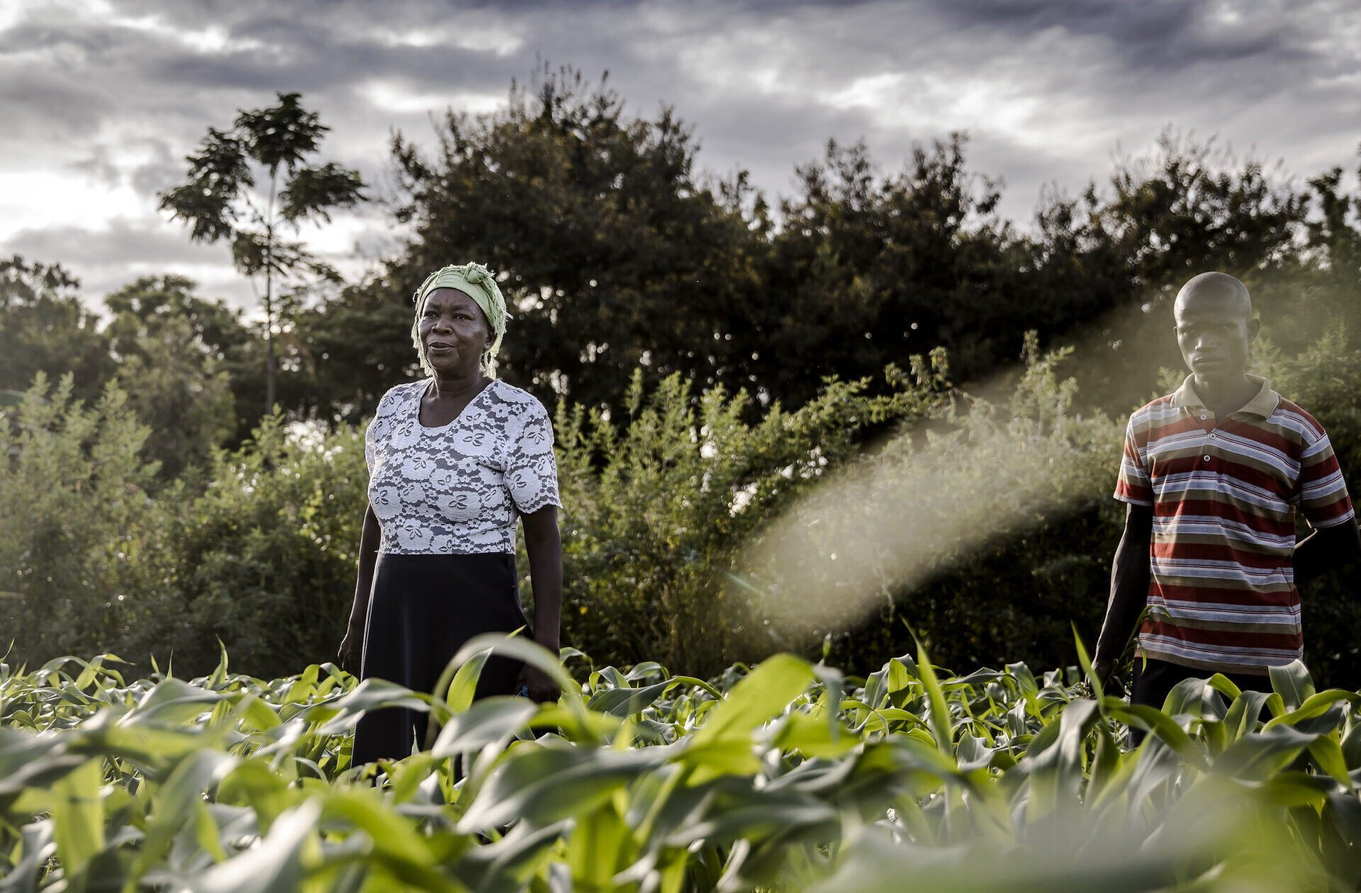 In Kenya la Corte difende i semi tradizionali: svolta per la sovranità alimentare