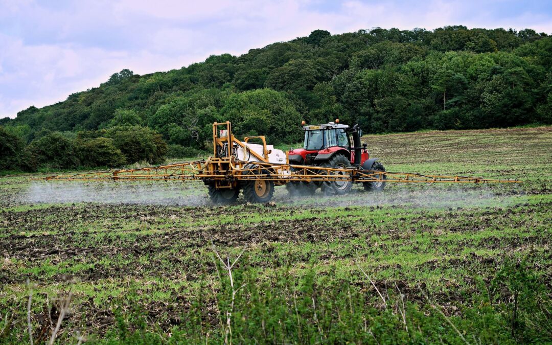 Il futuro dell’agricoltura e del sistema alimentare europeo: una visione che manca di ambizione e lungimiranza.