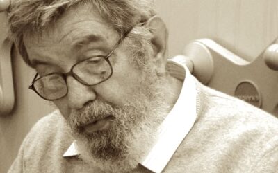 Giorgio Nebbia