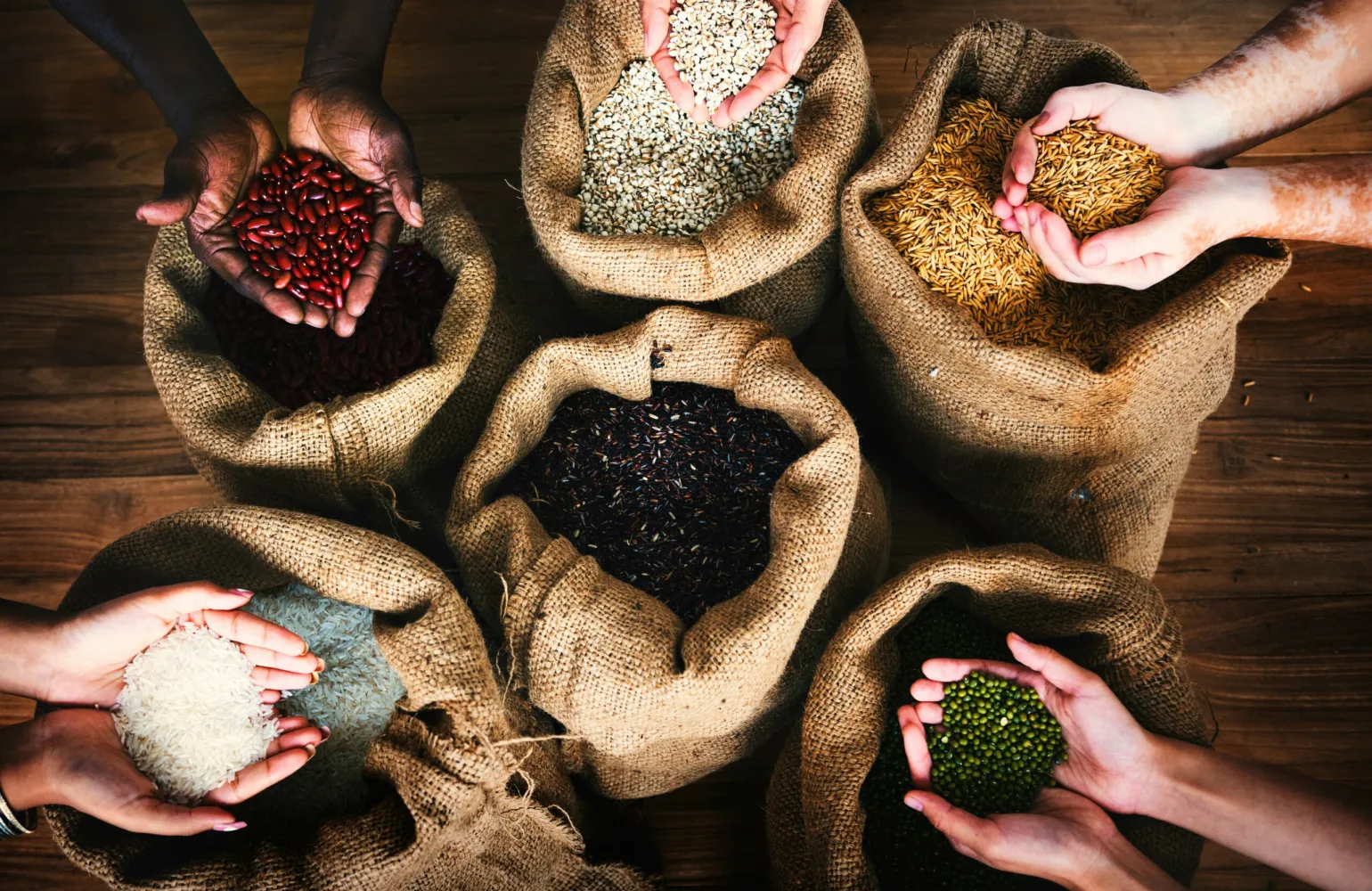 seeds diversity