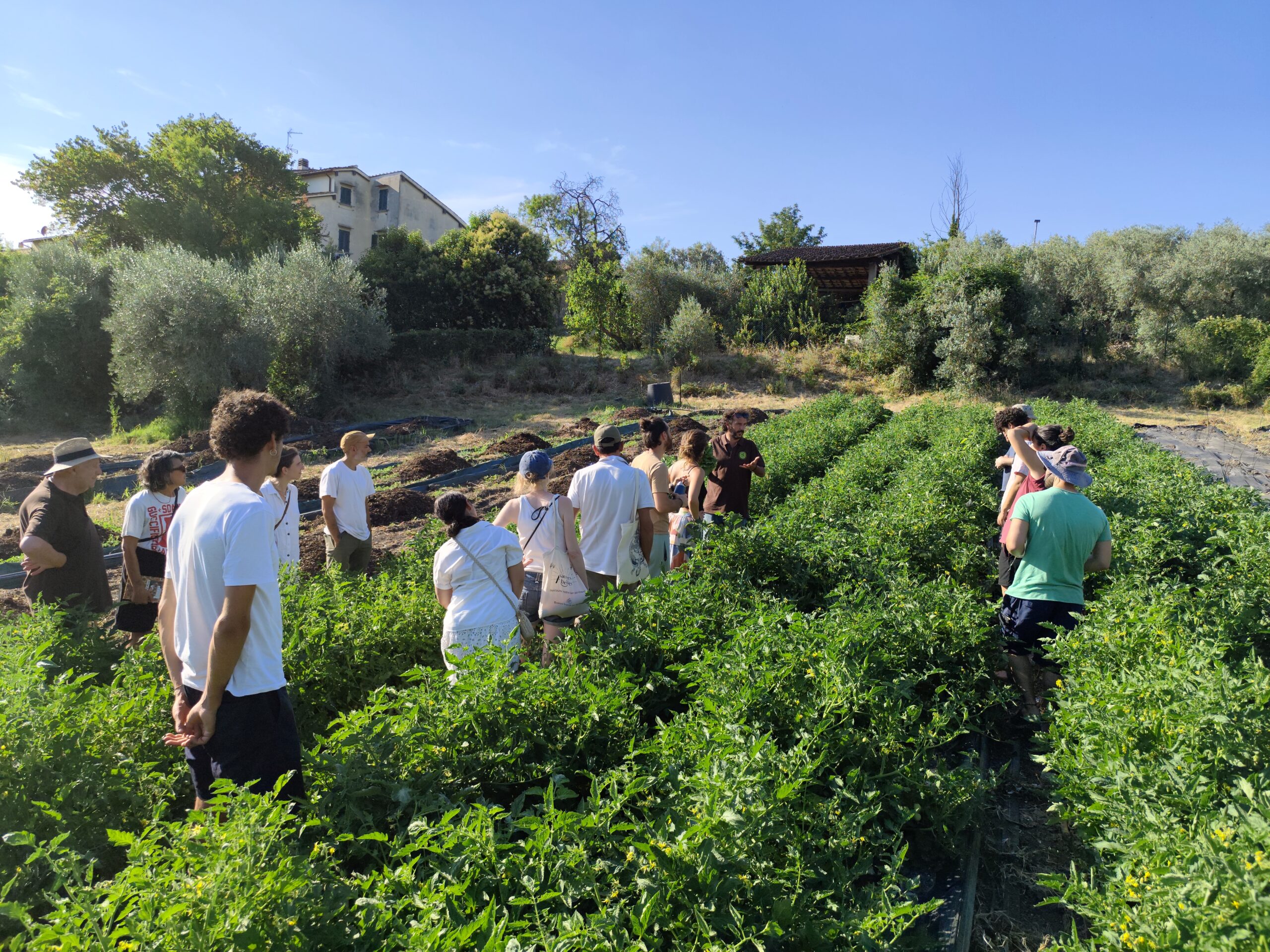 Eventi in campo – progetto BRESCIA