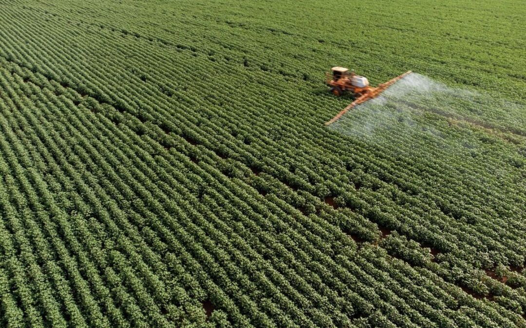 Pesticidi, appello di 11 associazioni al Governo italiano: «Fermate la deregolamentazione in Europa»