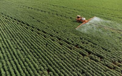 Pesticidi, appello di 11 associazioni al Governo italiano: «Fermate la deregolamentazione in Europa»