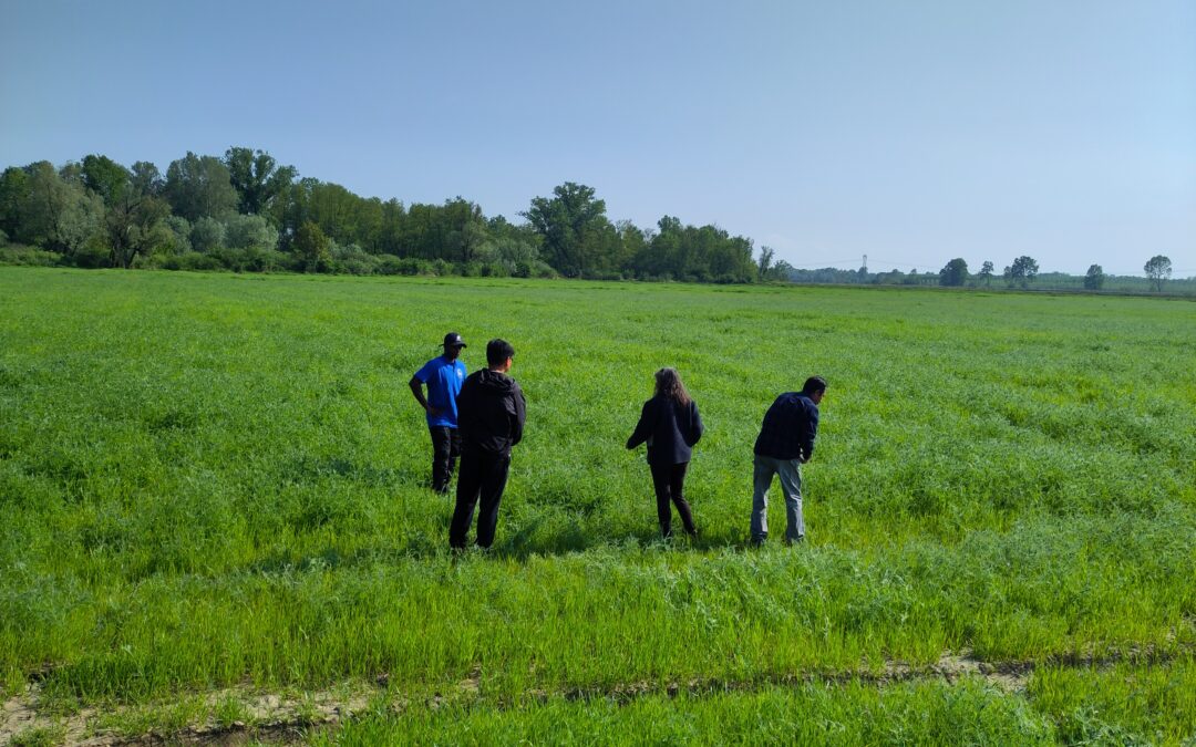 Progetto ProEcoRice: Ricercatori Taiwanesi in Visita nelle Risaie Italiane